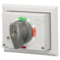 Поворотна рукоятка LS ELECTRIC DH2-L, TS250